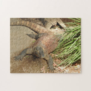 Komodo Dragon Puzzle