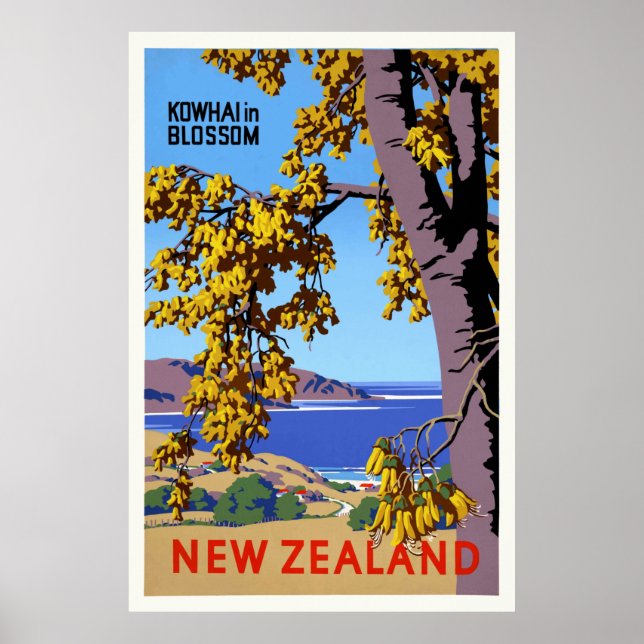 Kowhai en fleurs Poster vintage néo-zélandais (Devant)