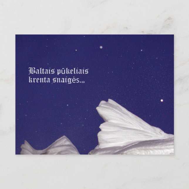 Krenta sniegas Carte postale (Devant)