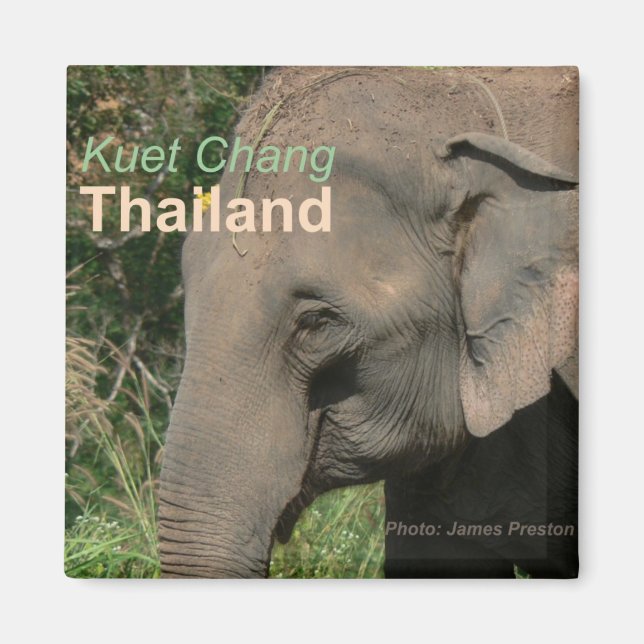 Kuet Chang Thaïlande Aimants frigorifiques éléphan (Devant)