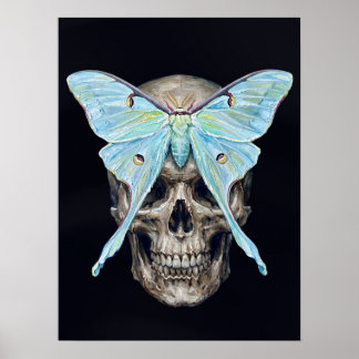 kull et Luna Moth — Memento Mori Impasto Poster