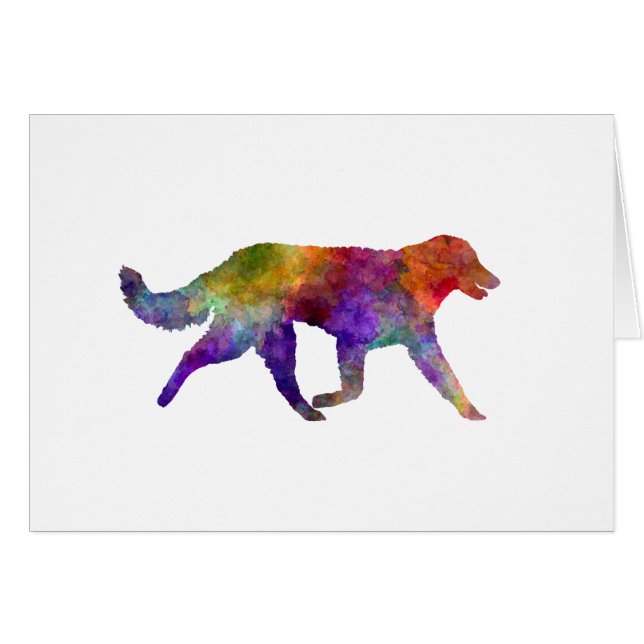 Kuvasz in watercolor 2 (Devant horizontal)