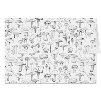 La bande de champignon