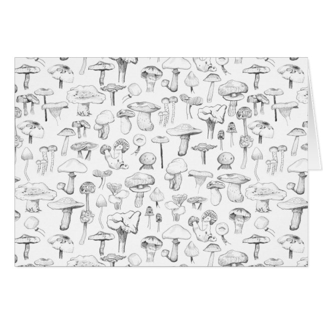 La bande de champignon (Devant Horizontal)