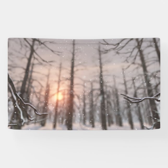 La bannière rêveuse d'une nuit d'hiver (Horizontal)