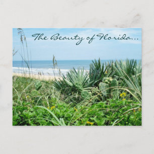 La Beauté de la Floride Carte Postale / Carte Post