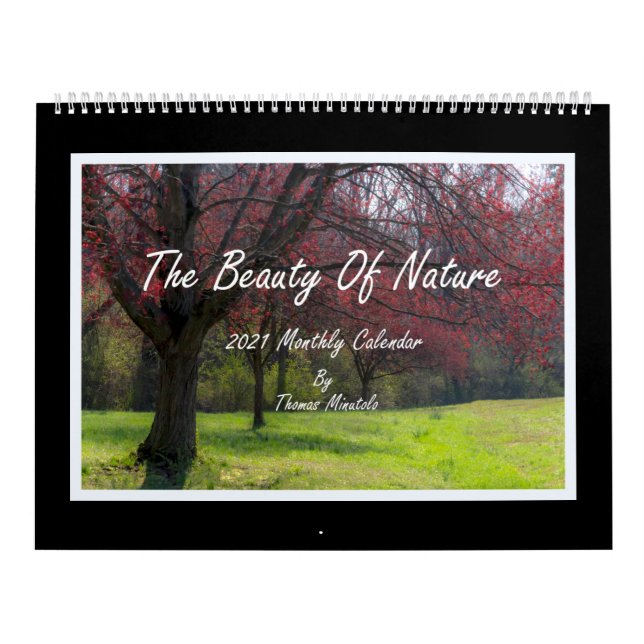 La Beauté De La Nature Calendrier 2021 (Protection)