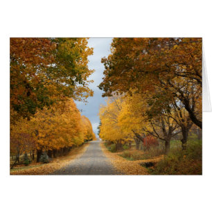 "La beauté de l'automne "