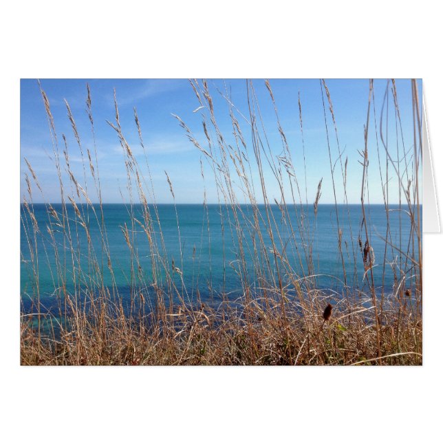 La belle Herbe et Mer (Devant horizontal)