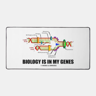 La biologie est dans mes gènes la réplication de l