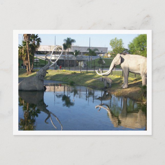LA BREA TAR PITS #1 Carte postale (Devant)