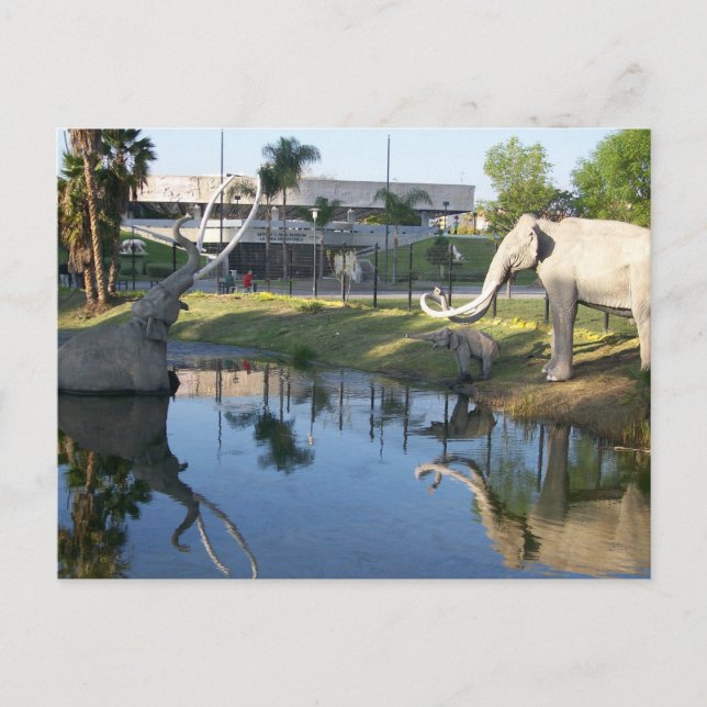 LA BREA TAR PITS #2 Carte postale (Devant)