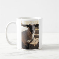 La brebis sont spéciale ! Tasse