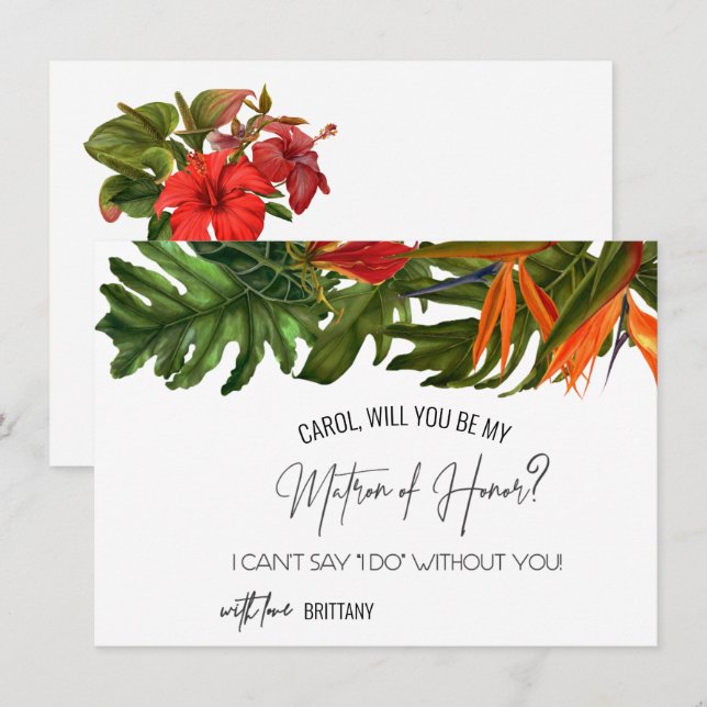 La brise tropicale sera-t-elle la carte d'honneur  (Devant / Derrière)