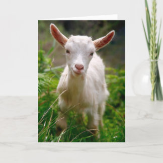 La carte de chose la plus mignonne