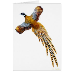 La carte de faisan de premiers magistrats