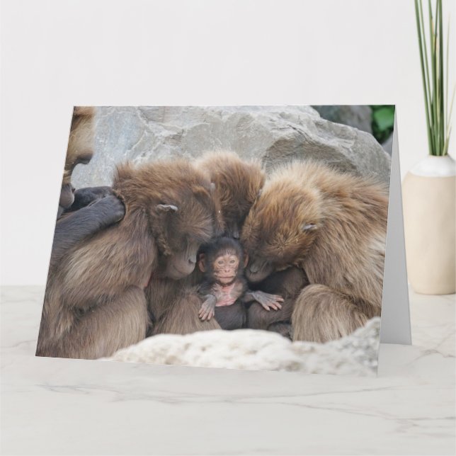 La carte de famille de singe (Devant)