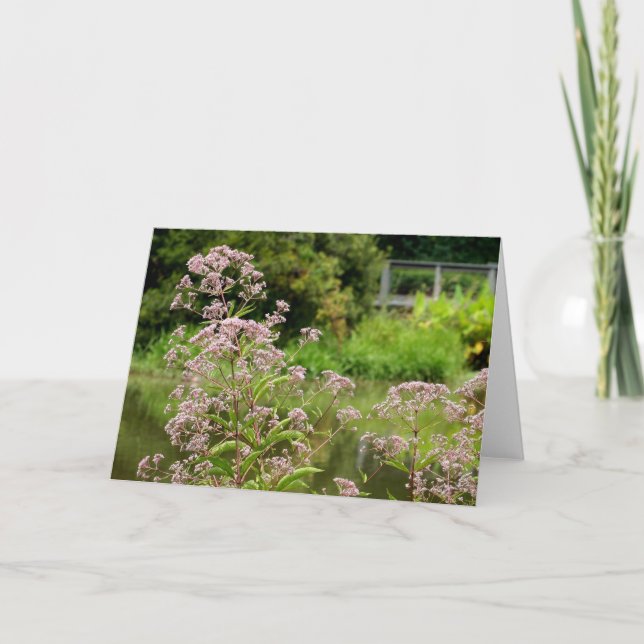 La Carte de Joe Pye Flowers (Devant)