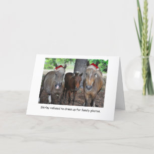 La carte de Noël de photo de famille de cheval