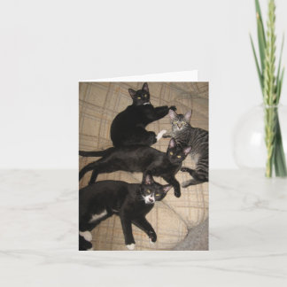 La carte de note de blanc d'équipage