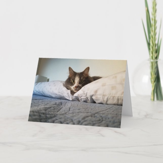 La carte de voeux de Boris le Cute Nubber Kitty (Devant)