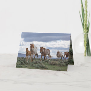 La carte de vœux de la famille du Wild Roan