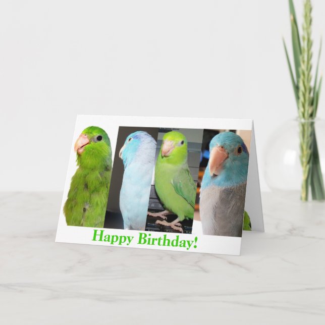 La carte de voeux d'oiseau de joyeux anniversaire (Devant)