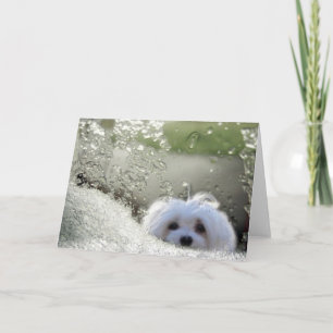 La carte de voeux maltaise Snowdrop