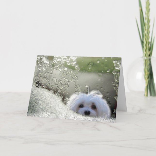 La carte de voeux maltaise Snowdrop (Devant)