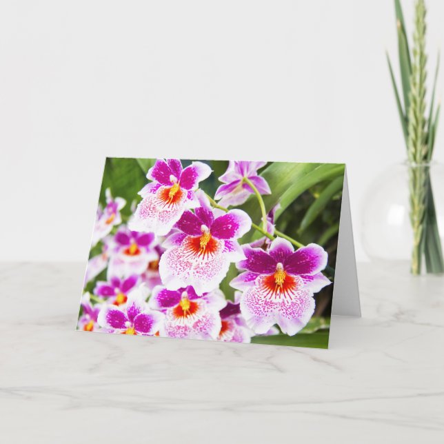 La carte de vœux orchidées Cattleya fuchsia et bla (Devant)