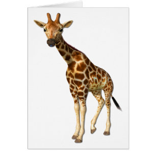 La carte Giraffe