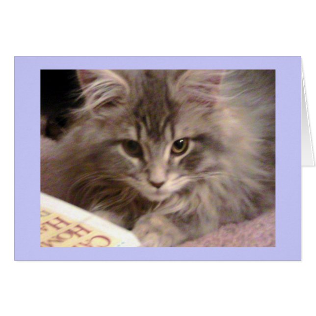 La carte nouvelle sans valeur de Maynard (Devant horizontal)