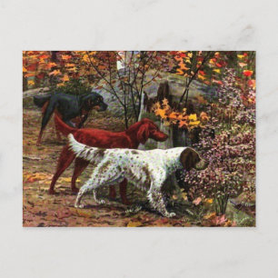 La Carte Postale Des Trois Paramètres