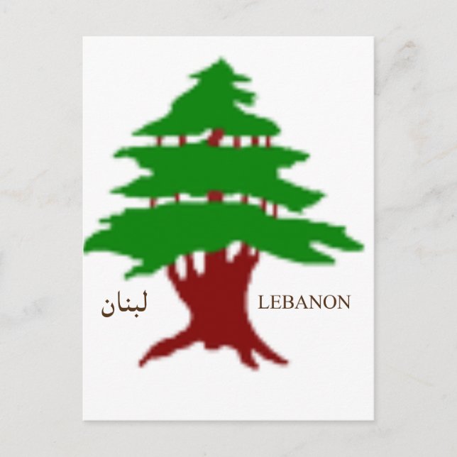 La carte postale du cèdre ancien du Liban (Devant)
