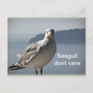 La carte postale Seagull't care