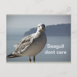 La carte postale Seagull't care