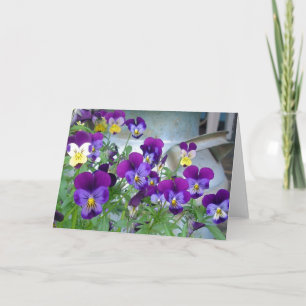 La carte Violets de LeAnn