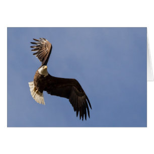 La Cartographie Du Ciel