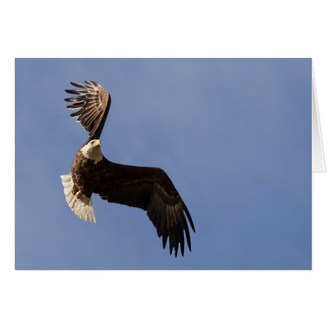 La Cartographie Du Ciel (Devant horizontal)