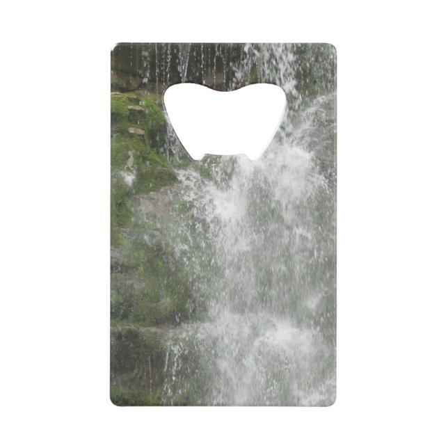 La cascade de La Chute dans le parc national de Fo (Devant)