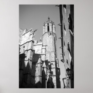 La Catedral Gargoyles Photo Poster Art Print
