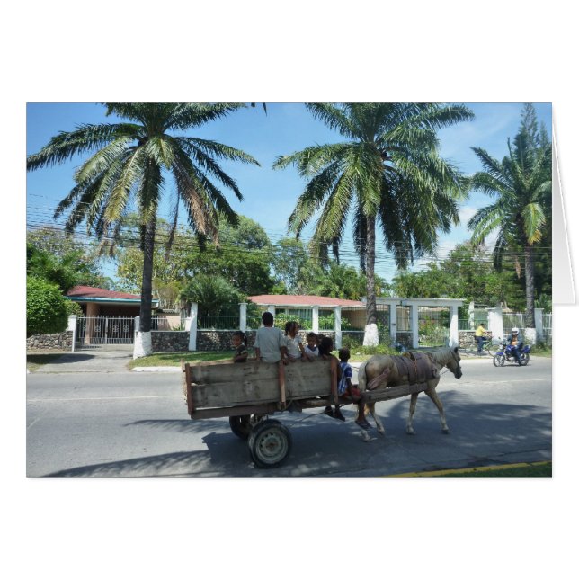 la ceiba cart (Devant horizontal)
