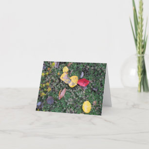 La chute colore la carte de sympathie