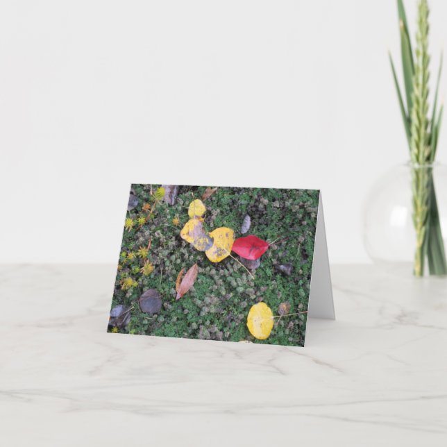 La chute colore la carte de sympathie (Devant)