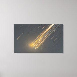 La chute incroyable de SpaceX - Toile d'art iconiq