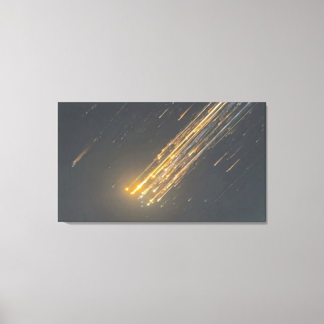 La chute incroyable de SpaceX - Toile d'art iconiq (Recto)