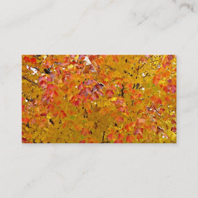 La chute laisse des cartes de visite, feuille (Devant)