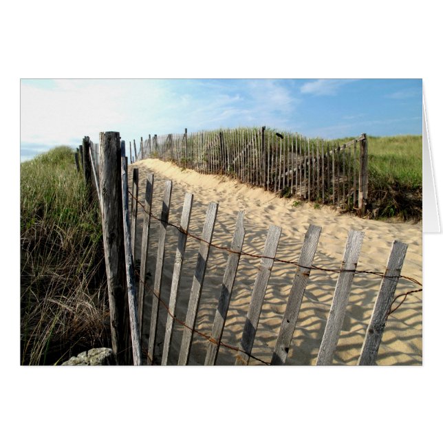 La clôture de la dune de Cape Cod (Devant horizontal)