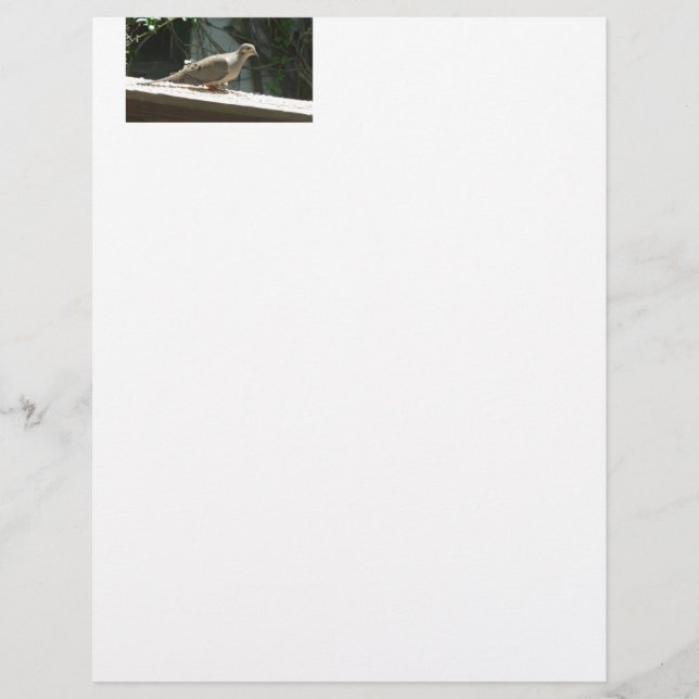 La colombe en deuil (Devant)