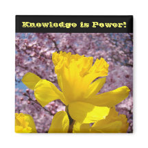 La connaissance magnet de la serrure scolaire est 